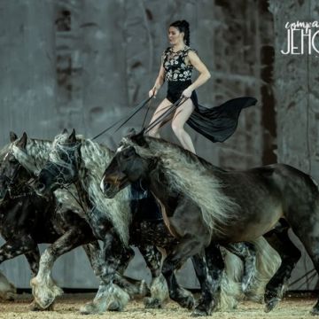 Spectacle équestre