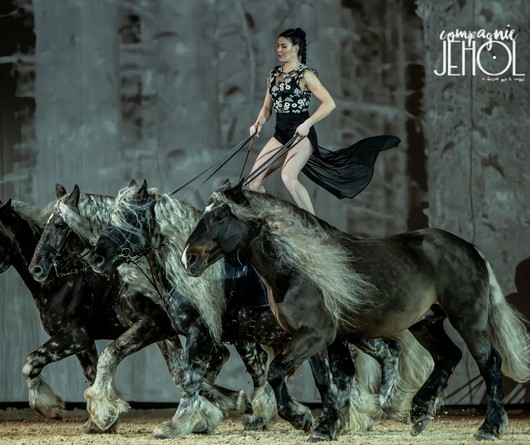 Compagnie Jéhol